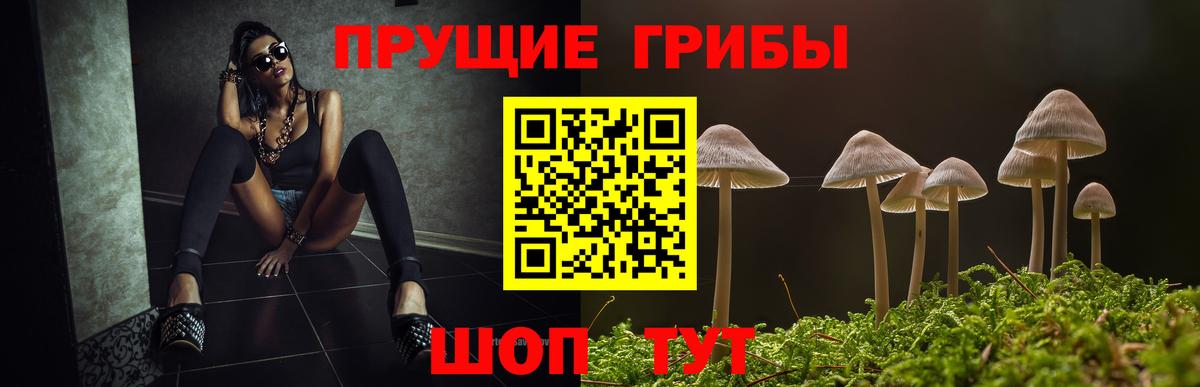 Галлюциногенные грибы прущие грибы  Вход с VPN  Рузаевка  Галлюциногенные грибы MAGIC MUSHROOMS 